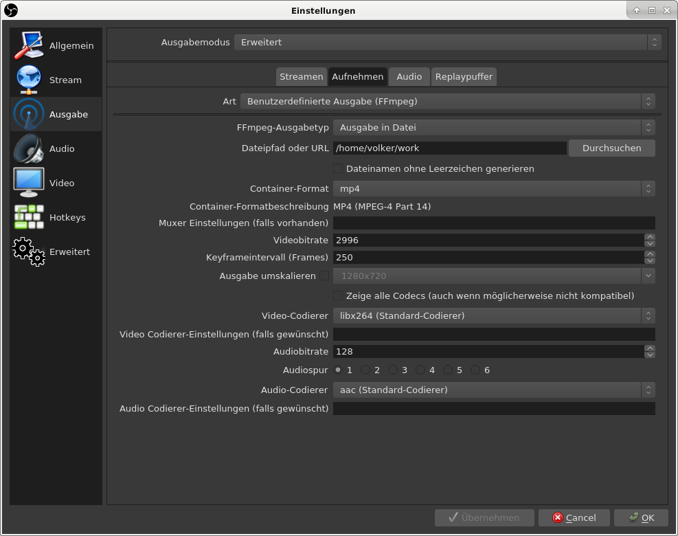 OBS Aufnahme-Einstellungen